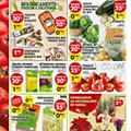 Antevisão Folheto PINGO DOCE Lojas Pequenas Promoções de 24 a 30 novembro